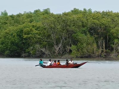 sundarban forest safari