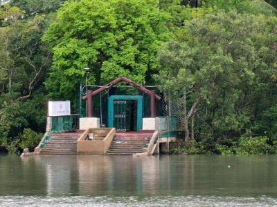 sundarban forest safari
