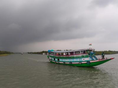 sundarban forest safari