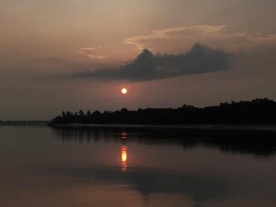 sundarban forest safari
