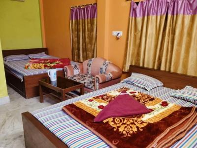 sundarban forest safari