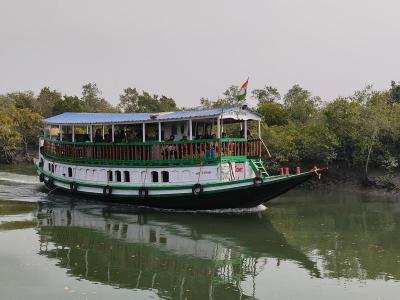 sundarban forest safari